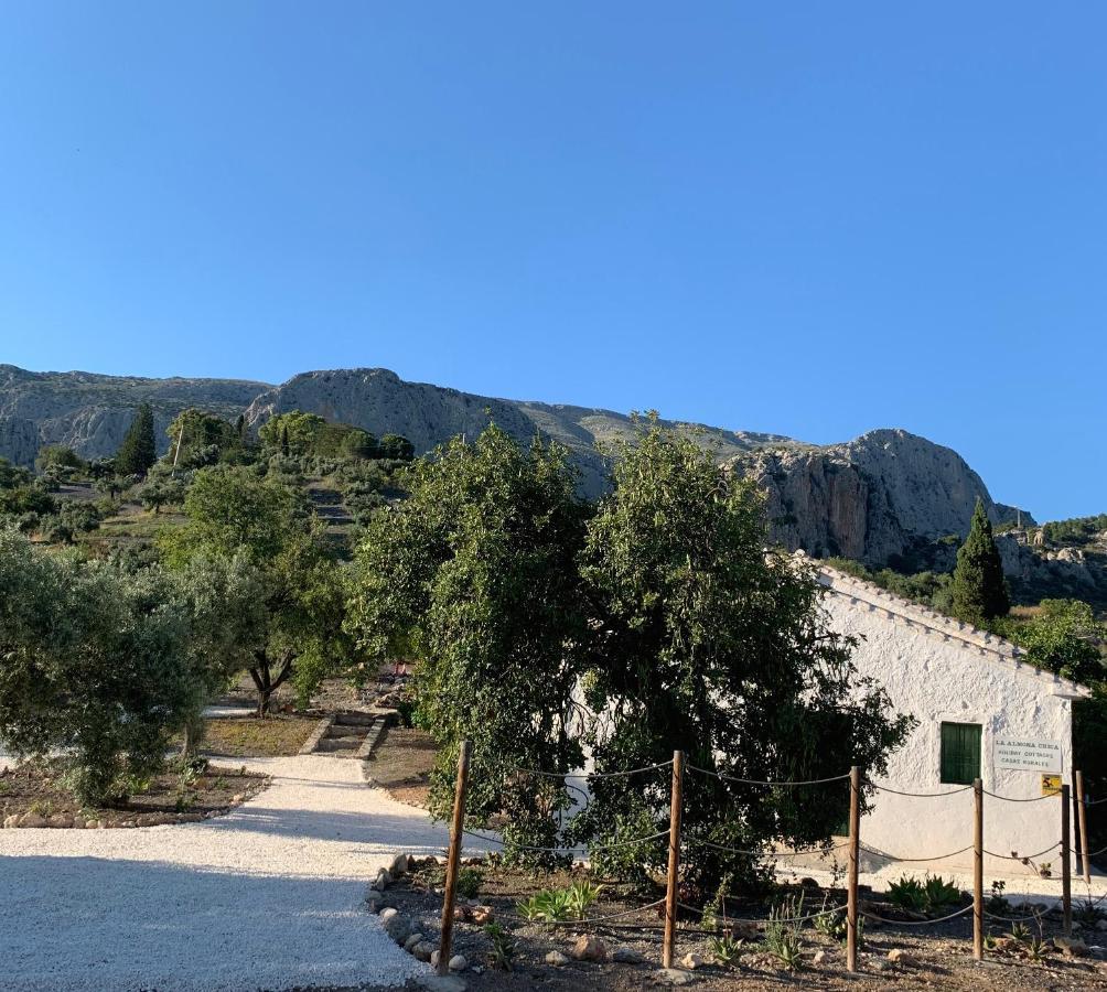Maison d'hôtes Casa Anita - La Almona Chica à El Chorro Extérieur photo